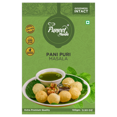 Flavor Burst Fiesta Pani Puri Masala